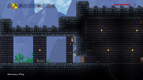 Игра Terraria [PS4, русские субтитры] в Липецке