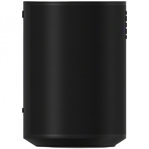 Умная колонка Sonos Era 100, черный в Липецке