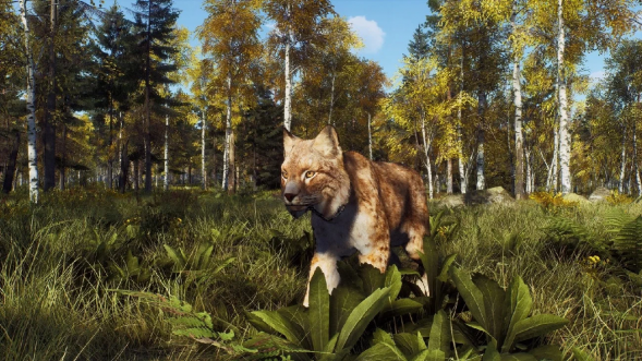 Игра Way of the Hunter: Wild Expeditions [PS5, русские субтитры] в Липецке