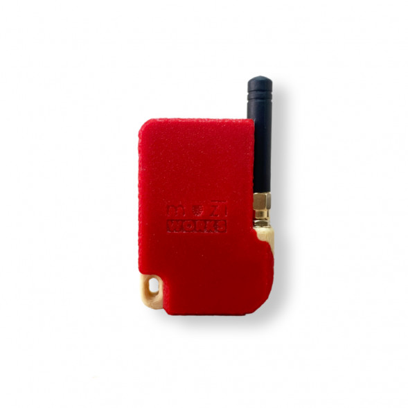 Teкcтовaя pация Меshtаstiс 868 МГц в Липецке