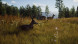 Игра Way of the Hunter [PS5, русские субтитры] в Липецке