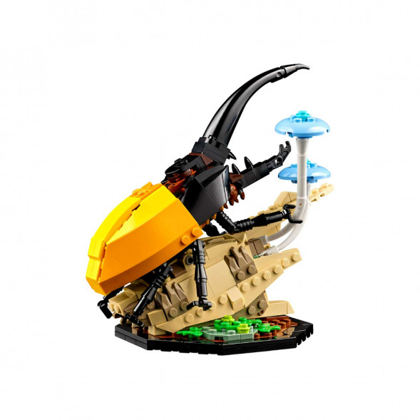 Конструктор LEGO Ideas 21342 Коллекция насекомых в Липецке