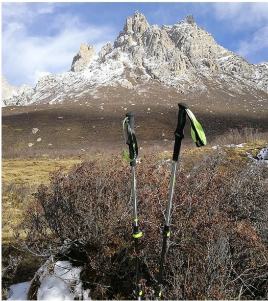 Треккинговая палка Naturehike 135 см, 1 шт., белый/красный в Липецке