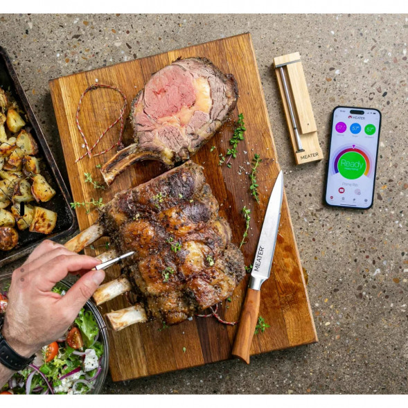 Термометр щуп для мяса MEATER 2 Plus (MT-MP201) в Липецке