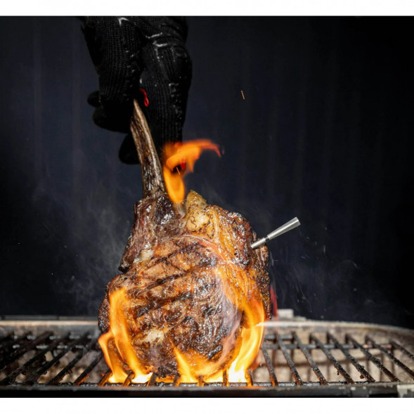 Термометр щуп для мяса MEATER 2 Plus (MT-MP201) в Липецке