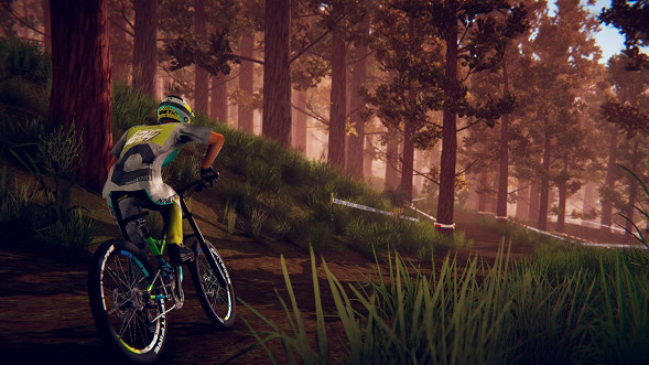 Игра Descenders [Nintendo Switch, английская версия] в Липецке