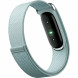 Фитнес-браслет Google Fitbit Air (Серо-голубой/Fog) в Липецке