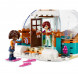 Конструктор LEGO Friends 41760 Праздничное приключение в иглу в Липецке