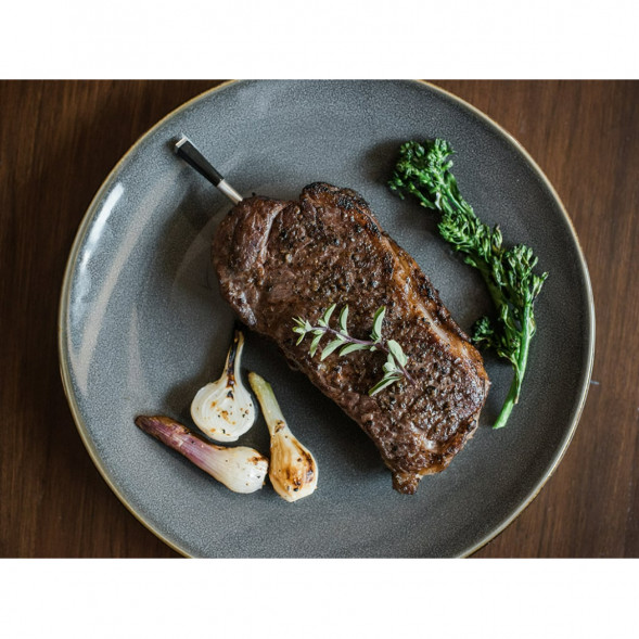 Термометр со щупом Meater Plus для мяса в Липецке