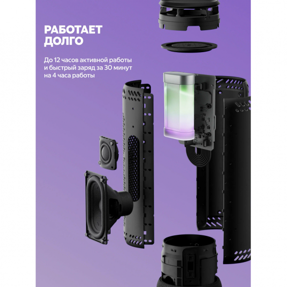 Умная портативная колонка Яндекс Станция Стрит с Алисой, черный в Липецке