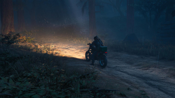 Игра Жизнь После (Days Gone) [PS4, русская версия] в Липецке