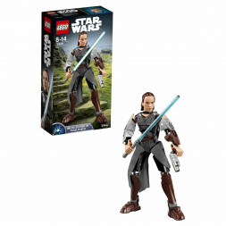 Конструктор LEGO Star Wars 75528 Рей