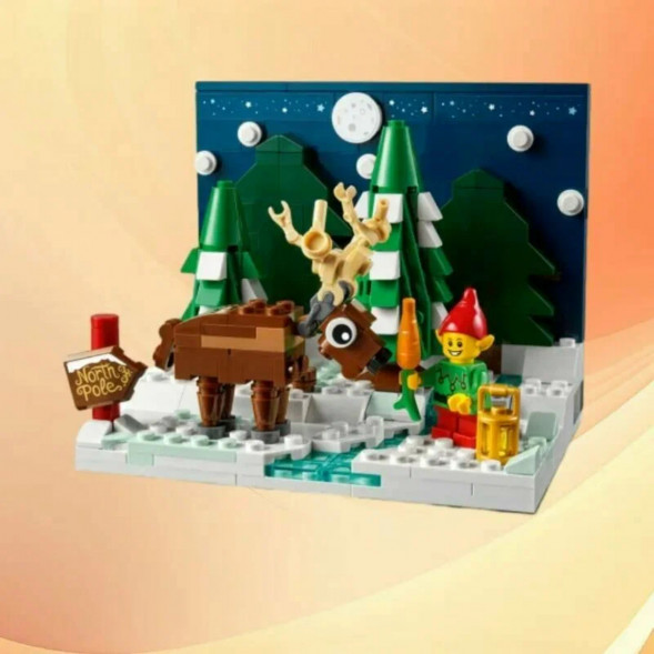 Конструктор LEGO 40484 Перед домом Деда Мороза в Липецке